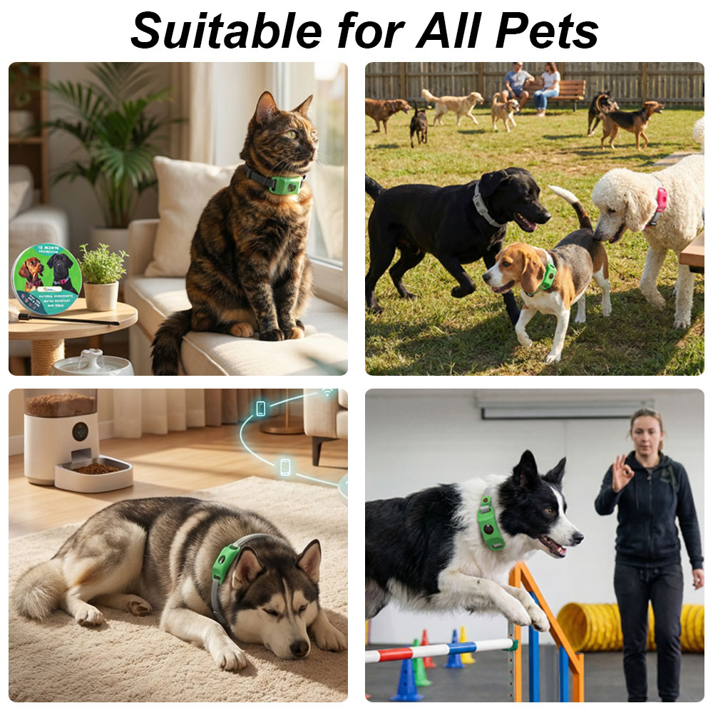 Durable Pet Safety Protection  – обзор и цена Outdoor Adventure Activities