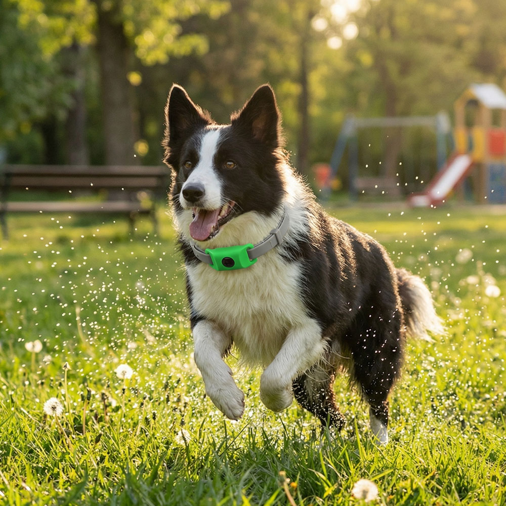 Durable Pet Safety Protection  – обзор и цена Outdoor Adventure Activities